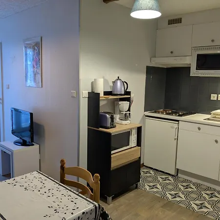 Plein Centre Apartament